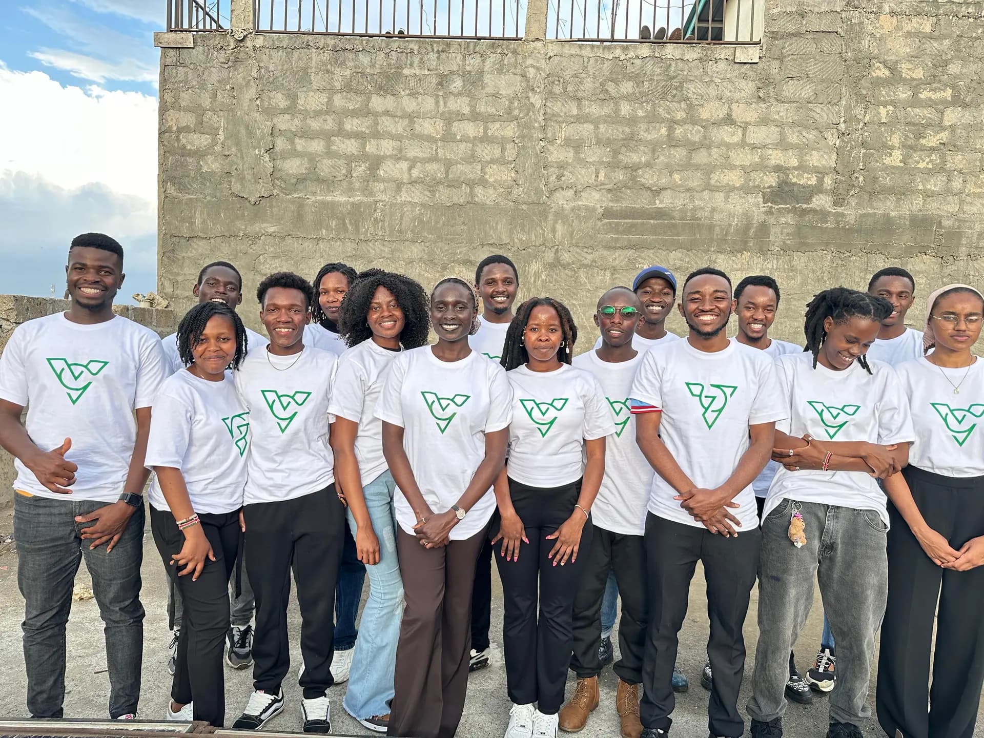 Vollta Organization 4