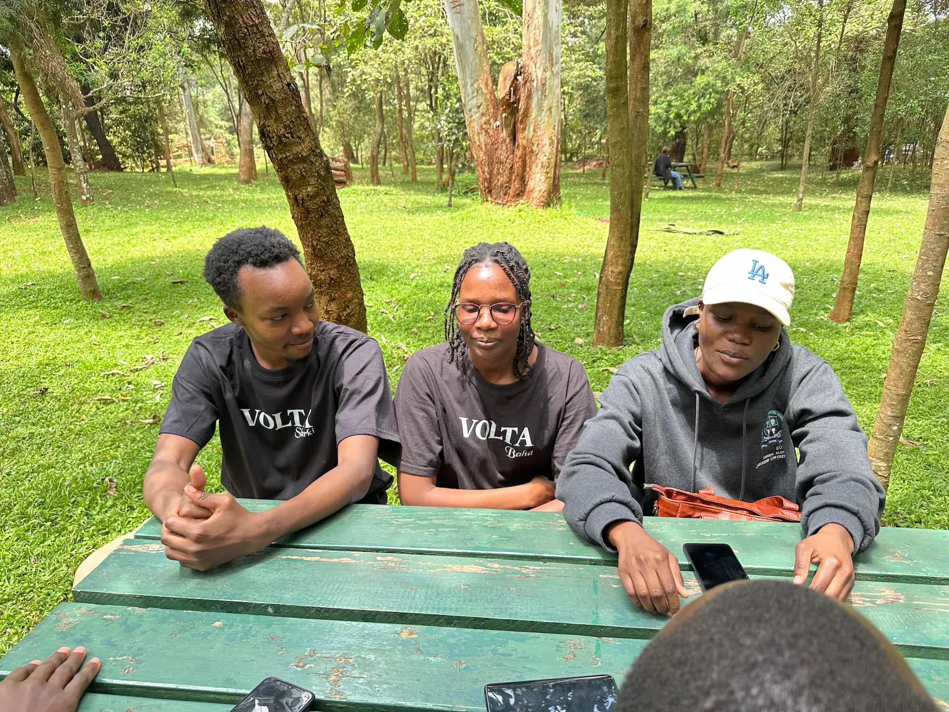 Vollta Organization 1